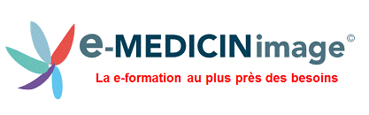 Nouveau logo e-MED