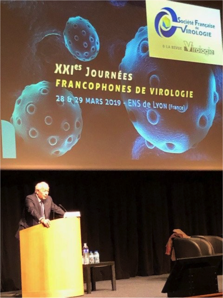 JFV2019_D