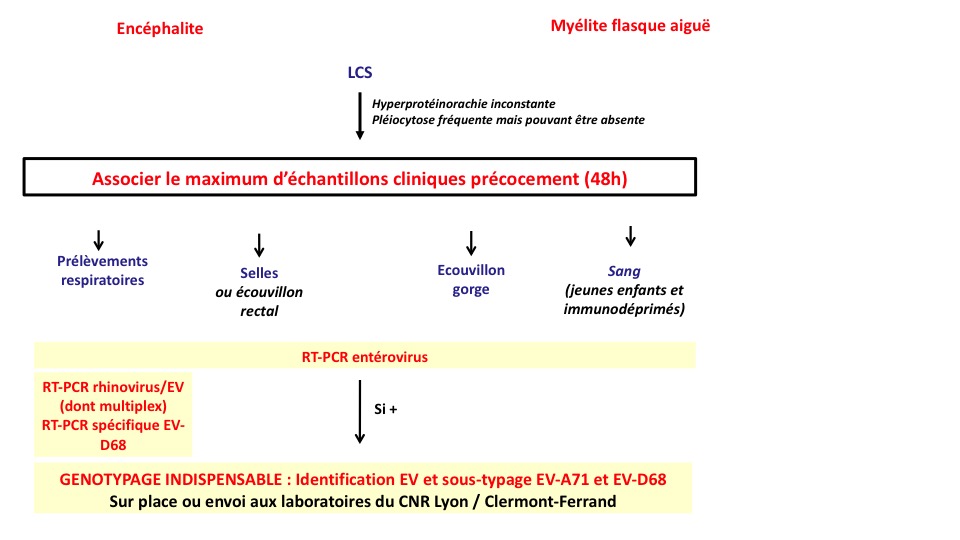 Diapositive3