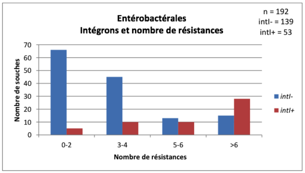 INTEGRONS2