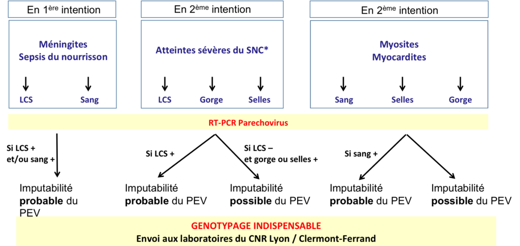PEV_FIG3