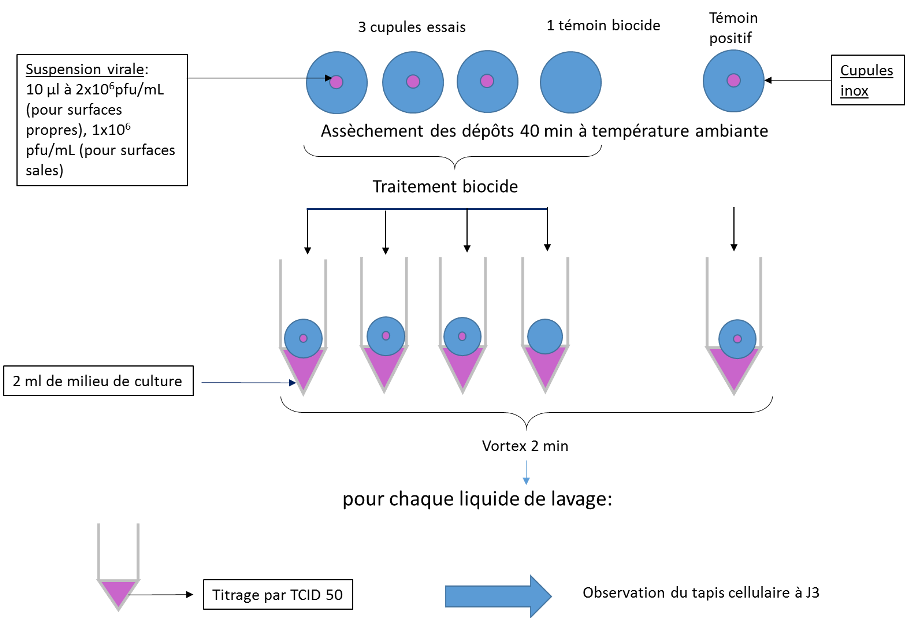 FIG1_SSB
