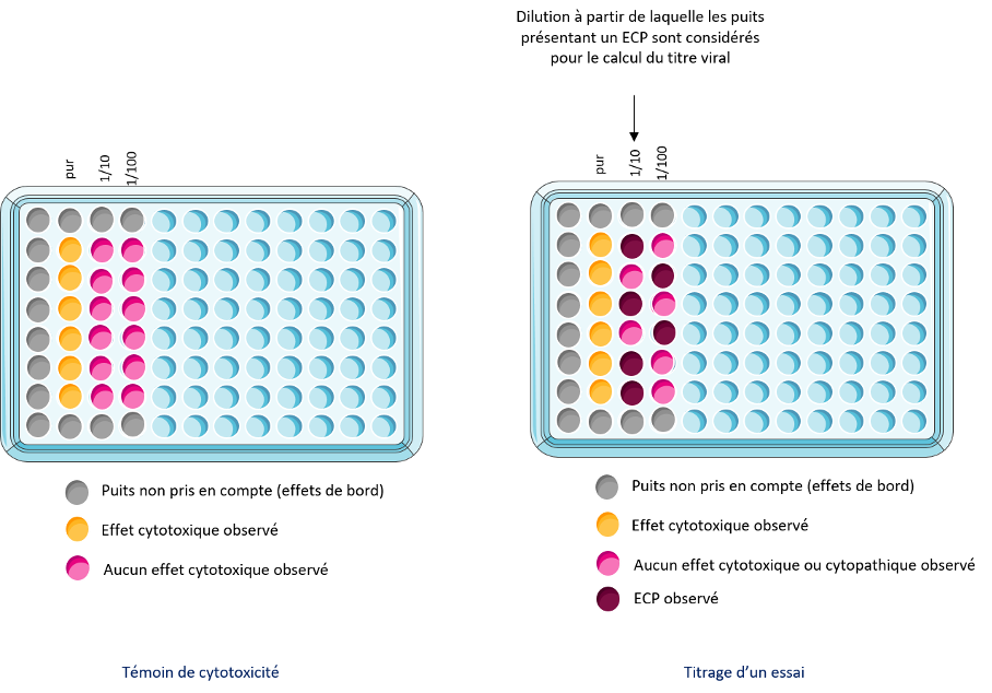 FIG2_SSB