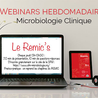 REMIC_WEBINARS_2 REMIC_WEBINARS_2