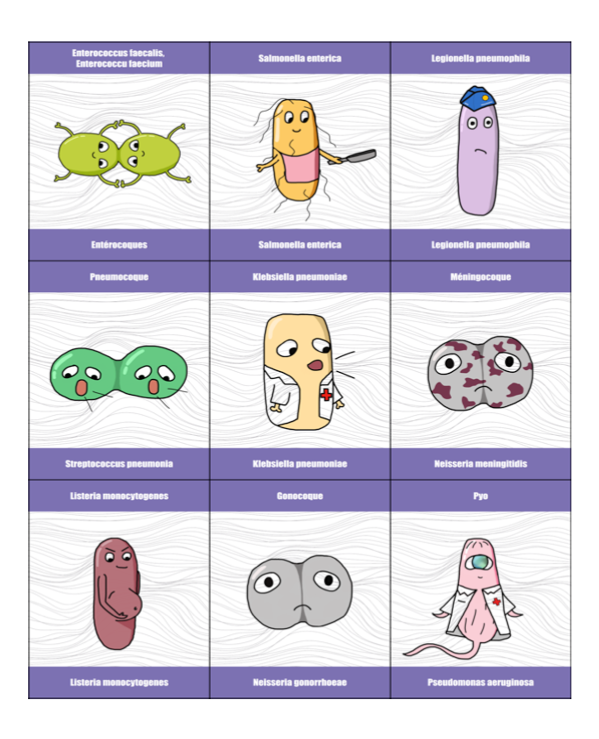 BacteriaGame (English version) – Image 2