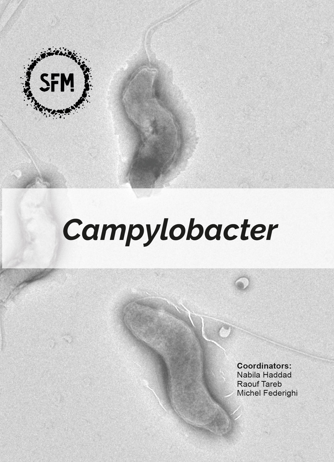 Campylobacter (en)