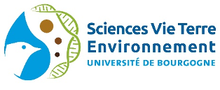 SVTE