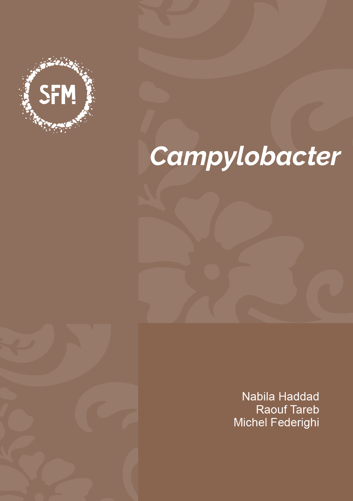 Campylobacter (vf)