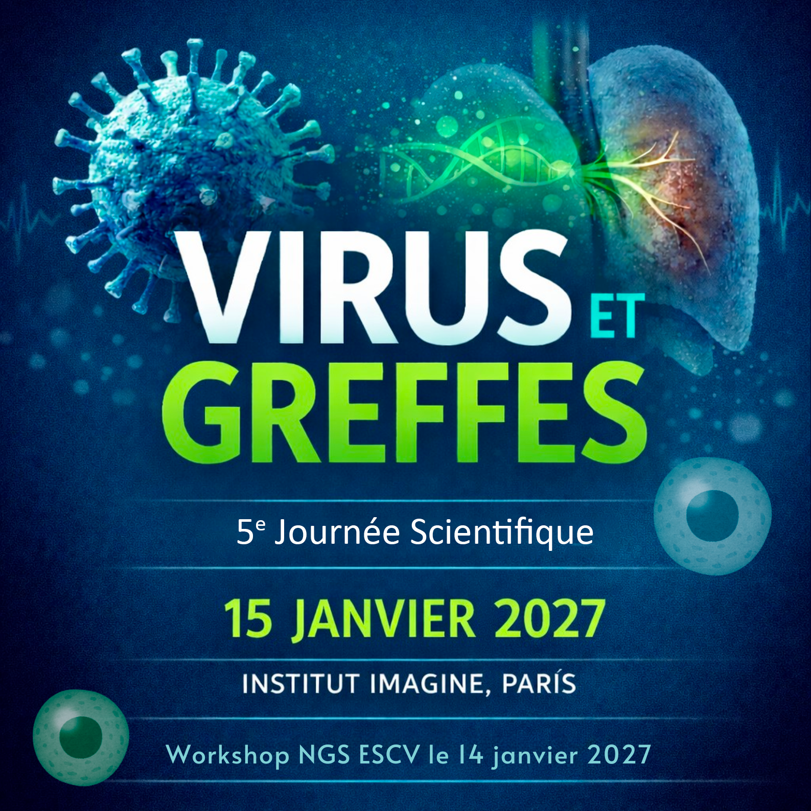 Virus et greffes 2027 2